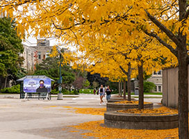 Western's Admission Scholarship for Black and Indigenous Students